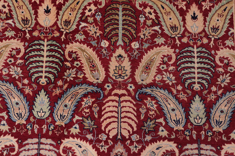 handmade Transitional Agra Red Blue Hand Knotted RECTANGLE 100% WOOL area rug 6 x 9