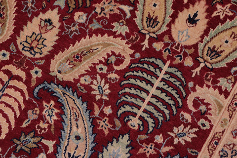 handmade Transitional Agra Red Blue Hand Knotted RECTANGLE 100% WOOL area rug 6 x 9