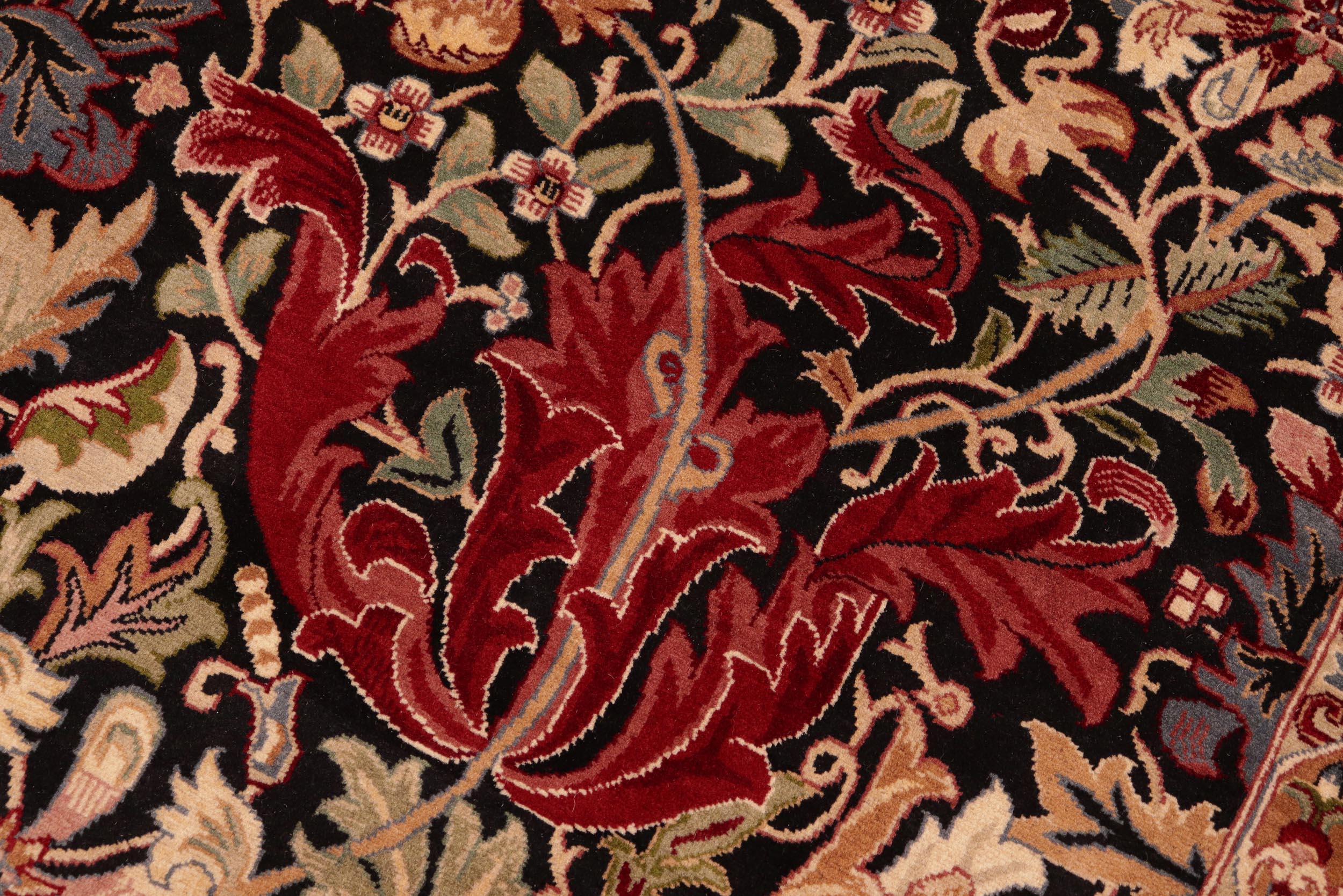 handmade Transitional Gulshan Black Red Hand Knotted RECTANGLE 100% WOOL area rug 6' x 9'