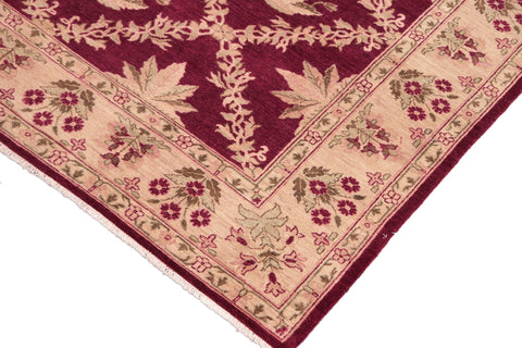 handmade Transitional Kafkaz Magenta Beige Hand Knotted RECTANGLE 100% WOOL area rug 8' x 10'