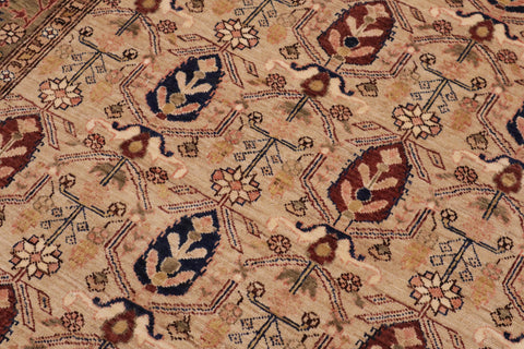 handmade Transitional Kafkaz Tan Green Hand Knotted RECTANGLE 100% WOOL area rug 9' x 12'