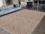 handmade Traditional Ziegler Gray Beige Hand Knotted RECTANGLE 100% WOOL area rug 9x12