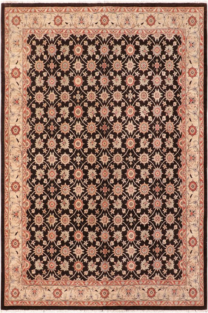 handmade Transitional Kafkaz Brown Beige Hand Knotted RECTANGLE 100% WOOL area rug 8X10