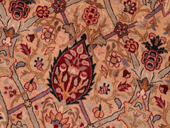 handmade Transitional Mujahid Tan Red Hand Knotted RECTANGLE 100% WOOL area rug 8x10