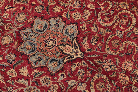 handmade Traditional Agra Red Lt. Blue Hand Knotted RECTANGLE 100% WOOL area rug 9x12