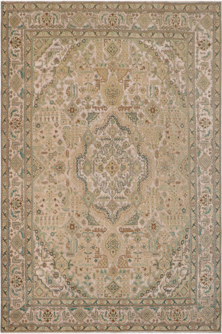 Vintage Distressed Persian Michaele White/Green Wool Rug - 9'4''X12'0''