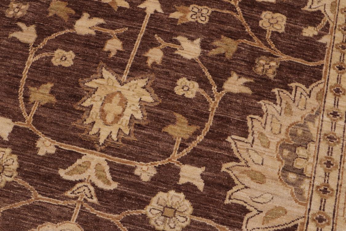 handmade Transitional Kafkaz Brown Beige Hand Knotted RECTANGLE 100% WOOL area rug 9' x 12'
