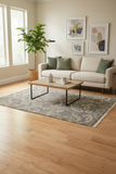 Modern Ziegler Cyril Gray/Gray Wool&Silk Rug - 2'2''X3'0''