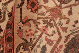 handmade Transitional Kafkaz Chobi Ziegler Beige Taupe Hand Knotted RECTANGLE 100% WOOL area rug 8 x 10