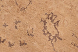 handmade Traditional Kafkaz Chobi Ziegler Tan Brown Hand Knotted RECTANGLE 100% WOOL area rug 6 x 9